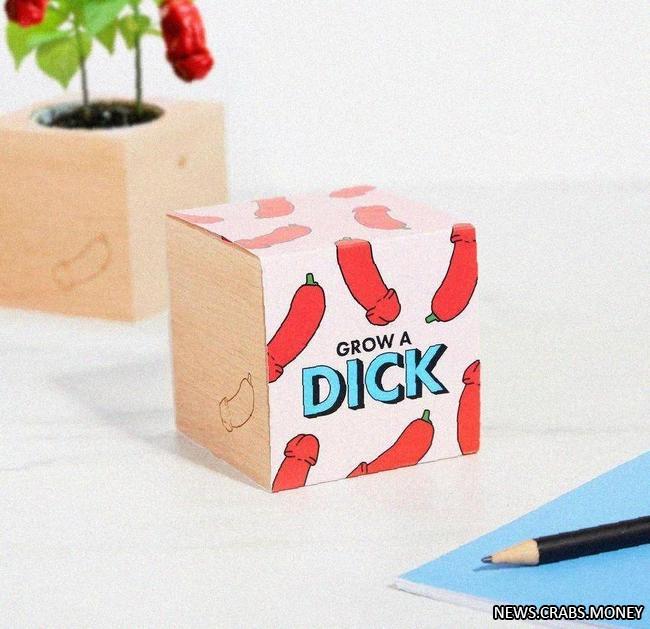 Бренд ecocube предлагает вырастить острый чили-член: семена перца растут в форме писюна