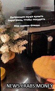 Пельмени в аэрогриле: новый хайп на кухне?