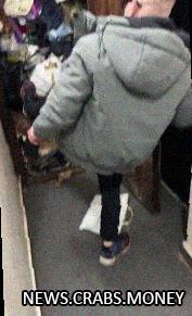 Москвичка с 15 кошками живет в затопленной мусором квартире