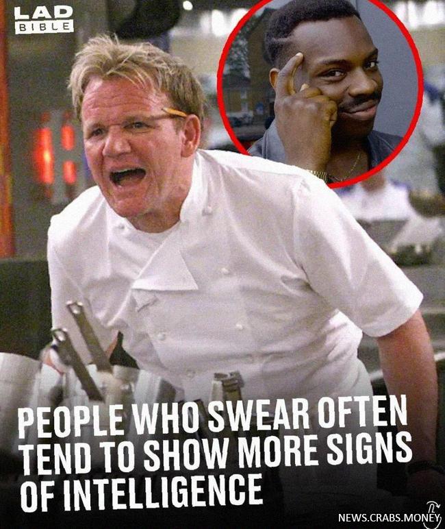 Владение матом связано с высоким IQ, заявили ученые